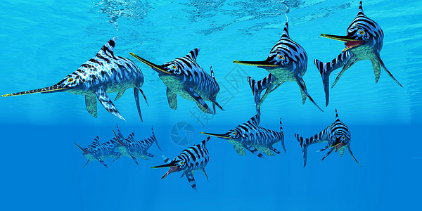 厄尔希诺龙海洋爬行动物鱼龙团体捕食者游泳灭绝蜥蜴脊椎动物脚蹼荒野生物背景图片