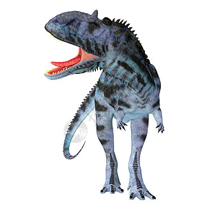白龙马扬古龙恐龙高清图片