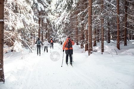 越野滑雪道自然踪迹高清图片