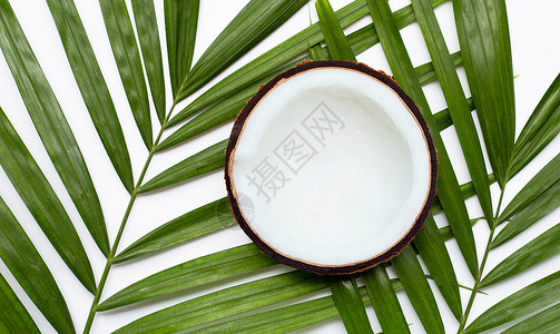核桃叶热带棕榈叶上的半椰子 白色背景 最高视图甜点芳香食物核桃木头休息身体营养水果浴室背景