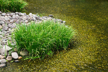 瓦兰哈格日本花园池塘背景