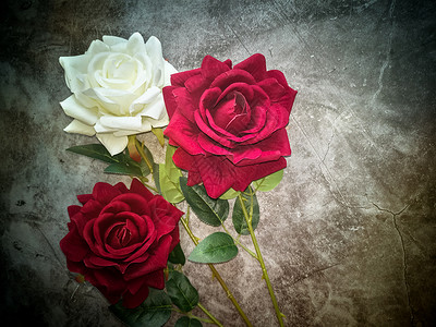 深色背景上的人造花三朵玫瑰叶子对比色礼物艺术植物群情人植物花艺纺织品花瓣背景图片