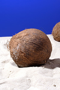静生摄影海滩阴影棕色水果食物可可椰子食品背景图片