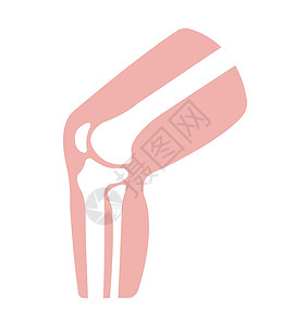 部分制作膝关节部分它制作图案插图治疗疼痛伤害股骨骨头肌肉髌骨解剖学科学插画