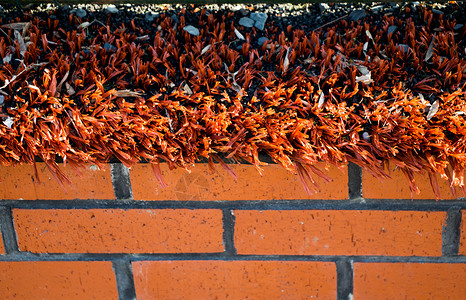 旧的老砖砖墙壁背景地面建筑红色石工材料背景墙墙纸砖块砖墙石头背景图片
