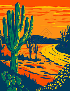 仙人掌仙人掌在黄昏在仙人掌国家公园在图森亚利桑那国家公园加州 WPA 海报艺术背景图片