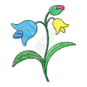 黄花与芽一朵花的空彩色轮廓与花瓣 白色背景上孤立的涂鸦风格轮廓 着色卡剪贴簿的平面设计填色电路绘画生态表格手绘草图明信片促销活动插图设计图片