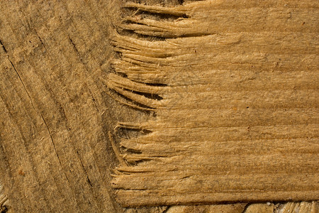 具有自然花纹的木质纹理材料木头地面背景木材硬木木工控制板背景图片