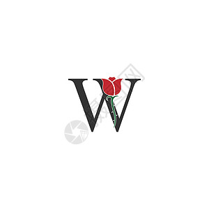字母 W 标志图标与玫瑰设计 vecto背景图片