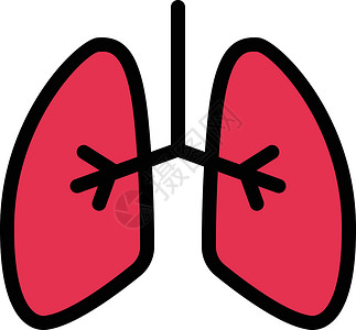 肺插图医疗解剖学生物学诊所呼吸药品疾病癌症气管背景图片