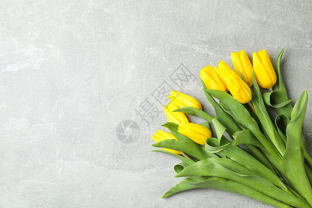 灰色背景上美丽的黄色新郁金香 文字空间妈妈们生日植物花园婚礼女性桌子庆典花束叶子背景图片