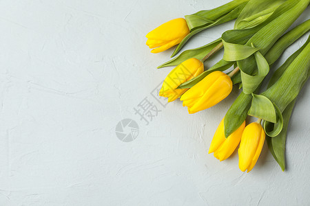 灰色背景 顶视图上方的美丽的黄色新郁金香乡村桌子庆典植物木头叶子植物群香水花束花瓣背景图片