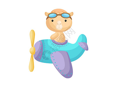 小骆驼戴着飞行员护目镜驾驶飞机 有趣的婴儿角色在飞机上飞行贺卡婴儿淋浴生日邀请室内 孤立的卡通矢量它制作图案装饰冒险庆典孩子卡通背景图片