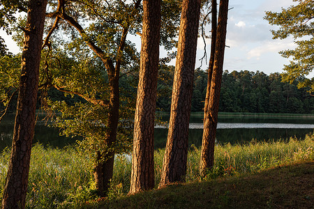 波兰奥古斯托的比阿莱湖支撑绿色蓝色森林天空旅行场景反射日落地区背景