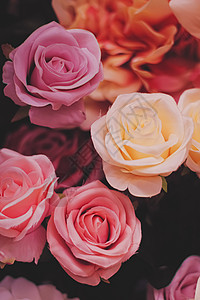 玫瑰作为婚礼和花花店装饰的花朵装饰品花瓣粉色白色礼物念日植物奢华宏观花束红色背景图片