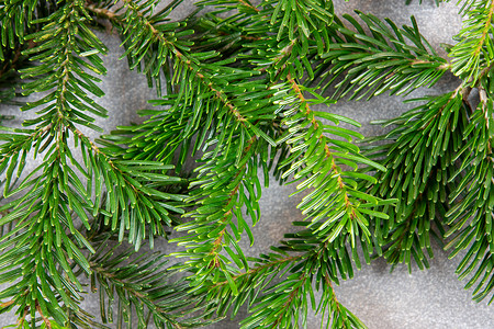 圣诞图案纹理背景 顶部是诺德曼冷杉的树枝 深灰色大理石背景 有文本的可用空间植物绿色白色松针大理石纹墙纸背景图片