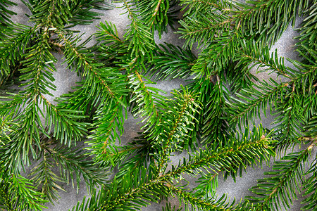 圣诞图案纹理背景 顶部是诺德曼冷杉的树枝 深灰色大理石背景 有文本的可用空间大理石纹白色植物松针墙纸绿色背景图片