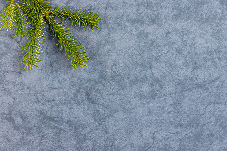 圣诞图案纹理背景 顶部是诺德曼冷杉的树枝 深灰色蓝色大理石背景 带有文本的可用空间大理石纹松针白色墙纸植物绿色背景图片
