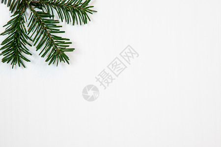 圣诞时装 纹理 背景和诺德曼壁画的分支 在左上方 白色背景 空闲文字空间松针绿色墙纸植物背景图片