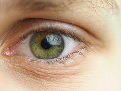 一个人的眼睛 人类眼睛的宏观摄影睫毛微距生物学结构男人诊断解剖学瞳孔健康背景图片