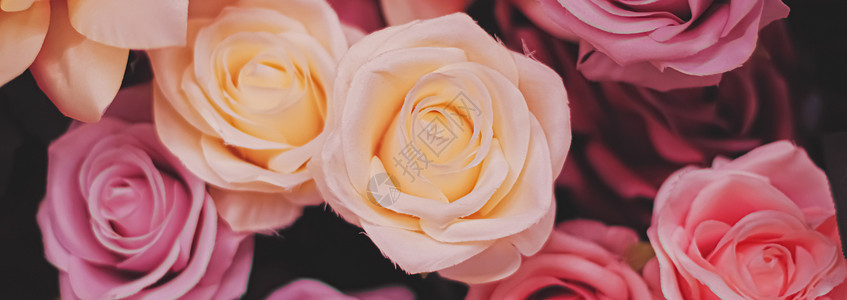玫瑰作为婚礼和花花店装饰的花朵装饰品织物粉色植物花瓣红色白色新娘奢华花束念日背景图片