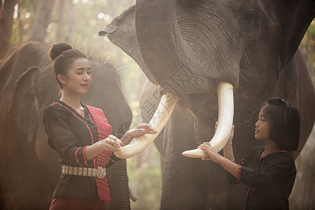 亚洲大象亚洲精神 泰国乡村农夫和大象在日出的背景下 亚洲文化旅行森林女士国家旅游天空冒险宗教农村农业背景
