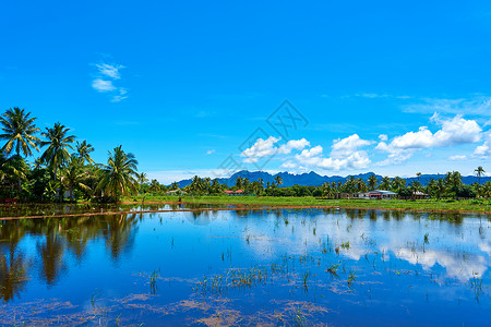 热带景观 山地 棕榈和蓝天空 纯自然 有镜像反射的湖全景异国栽培村庄收成草地种植园文化情调环境背景图片