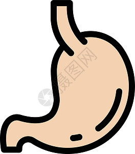肠胃实验室医院器官药品消化插图身体解剖学卡通片医疗背景图片
