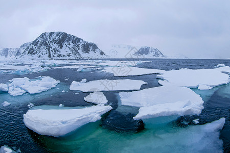 挪威斯瓦尔巴北极 挪威斯瓦尔巴的漂浮冰雪山生态旅游自然保护冰山保护野生动物气候变化荒野环境保护生态海洋背景图片