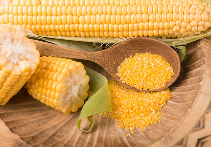 白色背景的绿色叶子生玉米饮食农业烹饪桌子谷物植物解雇食物棒子粮食背景图片