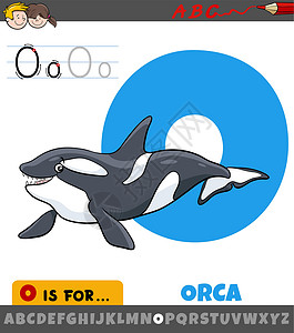 带有逆戟鲸动物特征的字母表中的字母 O设计图片