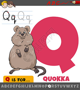 短尾矮袋鼠带有卡通短尾动物特征的字母表中的字母 Q设计图片