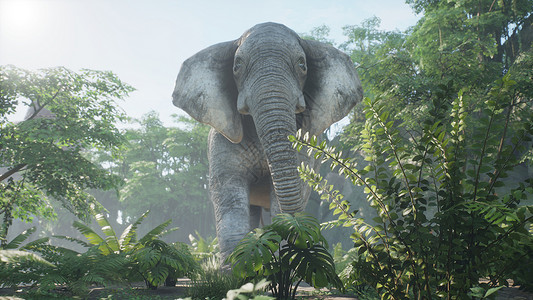 一头灰色的非洲象在清晨穿过绿色的丛林 看看非洲丛林 3D 渲染濒危旅游环境动物食草国家动物园荒野哺乳动物大草原背景图片