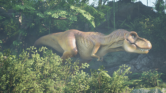 森林中霸王龙霸王龙恐龙在绿色的史前丛林中慢慢爬上它的猎物 在阳光明媚的早晨欣赏绿色的史前丛林 3D 渲染野生动物生态灭绝力量动物古生物学危险背景