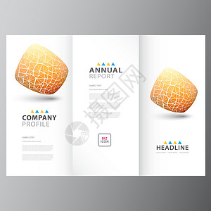 横版画册设计年度业务报告模板推介会卡片宪章活页夹框架公司商业艺术创造力三角形设计图片