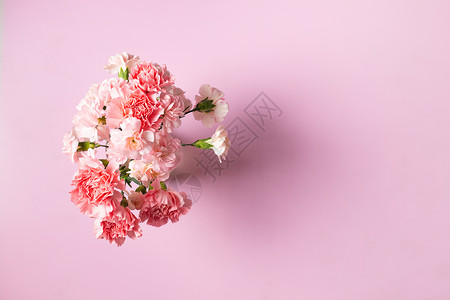 粉红背景的花朵粉色庆典作品母亲花瓣花园白色装饰风格花束高清图片