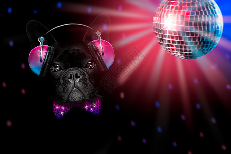 听音乐的狗有聚会迪厅音乐播放器玩家横幅享受斗牛犬唱歌动物歌曲俱乐部背景图片