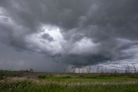 加拿大帕蕊雷风暴云风暴乡村国家警告危险场景农作物背景图片