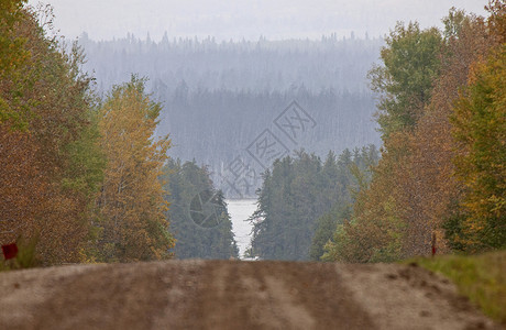 萨斯喀彻温省北部秋秋场景风景摄影森林叶子国家背景图片