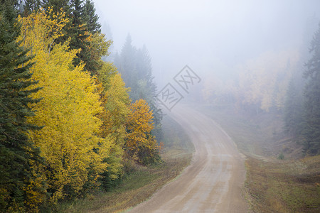 萨斯喀彻温省北部秋秋风景森林国家摄影叶子场景背景图片