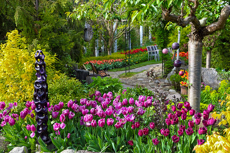 郁金香花季充满多彩的郁金香和春天花园中的石道背景