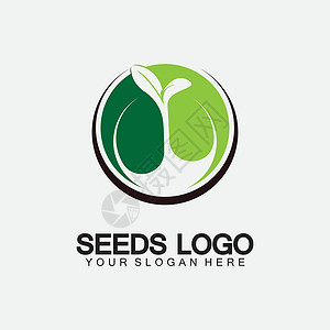 密花豆植物种子标志概念模板标志插图设计模板商业农业生长标识环境发芽生物花园土壤生活插画