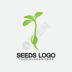 豆发芽植物种子标志概念模板标志插图设计模板园艺生物农场食物花园公司叶子土壤生活商业插画