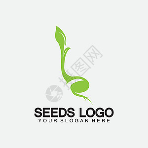 豆发芽植物种子标志概念模板标志插图设计模板商业生活发芽公司生物土壤叶子植物群生态园艺插画
