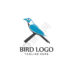 徽章鸟鸟标志矢量图标设计模板动物羽毛翅膀徽章鸽子飞行艺术标签身份标识插画