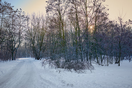 雪堆里小雪人在阳光明媚的冬季日子里 狭小的雪地森林道路针叶雪堆天气蓝色小路树木松树太阳冻结天空背景