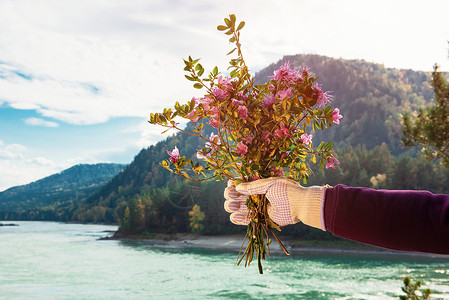 一只戴着手套的女人手里的野花包束于一朵鲜花中高清图片
