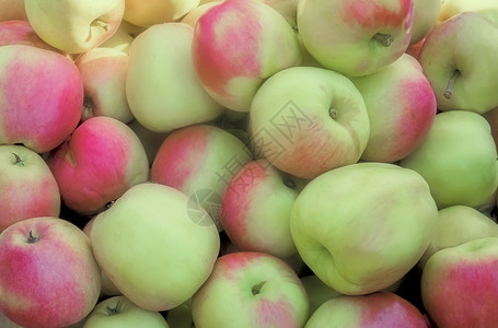 大成熟的苹果 拍摄近距离接近回收站绿色花园农场芳香季节市场主题营养生活背景图片