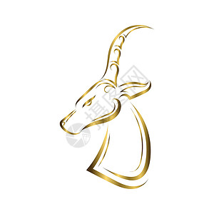 大羚羊黑斑羚头的金线艺术插图涂鸦标识草图动物鹿角荒野绘画动物园哺乳动物设计图片