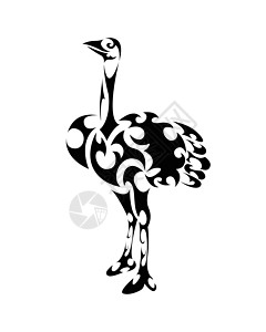 鸵鸟肉鸵鸟的线条艺术矢量站着速度羽毛异国大草原荒野情调动物群野生动物绘画脖子插画